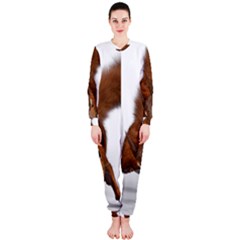 Squirrel Wild Animal Animal World Onepiece Jumpsuit (ladies)  by Nexatart