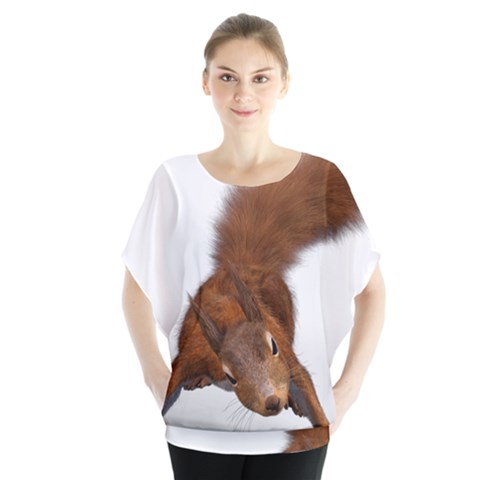 Squirrel Wild Animal Animal World Blouse by Nexatart