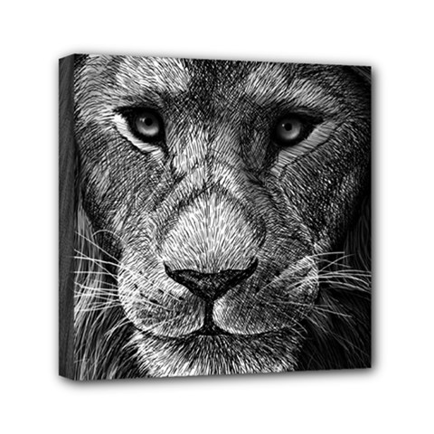 My Lion Sketch Mini Canvas 6  X 6  by 1871930