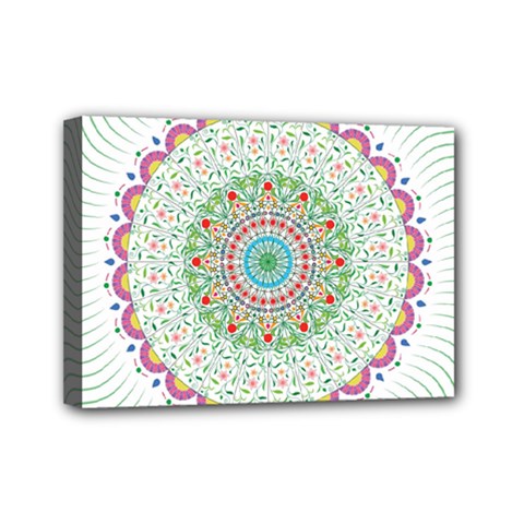 Flower Abstract Floral Mini Canvas 7  X 5  by Nexatart
