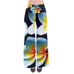 Flowers Black White Bunch Floral Pants