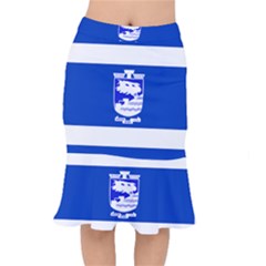 Flag Of Holon  Mermaid Skirt by abbeyz71