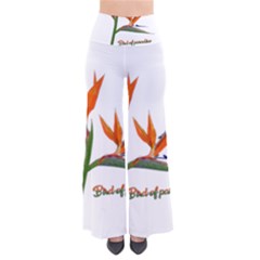 Bird Of Paradise Pants by Valentinaart