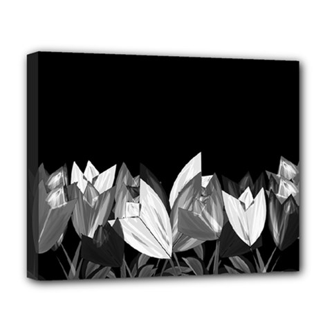 Tulips Deluxe Canvas 20  x 16  