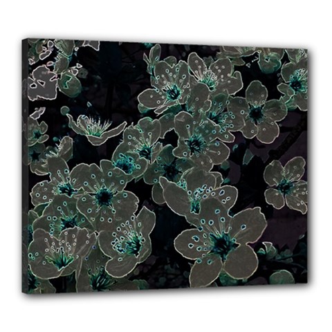 Glowing Flowers In The Dark C Canvas 24  x 20 