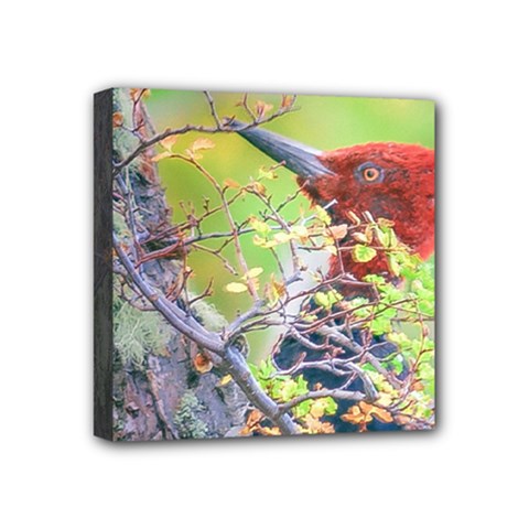 Woodpecker At Forest Pecking Tree, Patagonia, Argentina Mini Canvas 4  X 4  by dflcprints