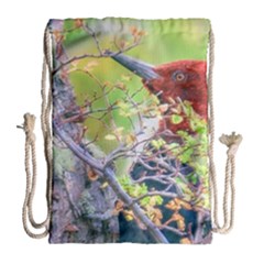 Woodpecker At Forest Pecking Tree, Patagonia, Argentina Drawstring Bag (large) by dflcprints