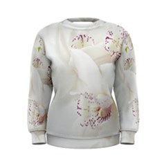 Orchids Flowers White Background Women s Sweatshirt by Nexatart