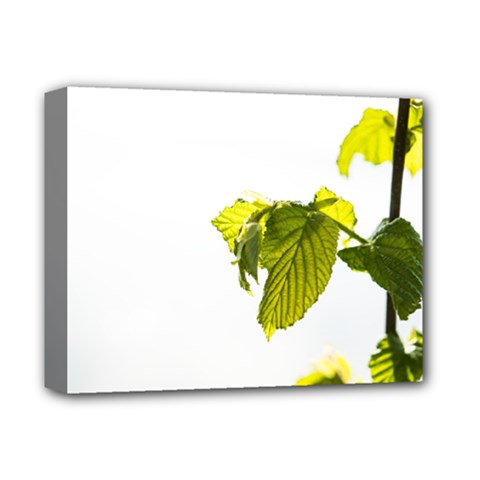 Leaves Nature Deluxe Canvas 14  X 11  by Nexatart