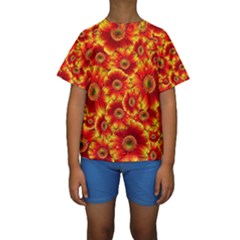 Gerbera Flowers Nature Plant Kids  Short Sleeve Swimwear by Nexatart