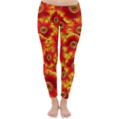 Gerbera Flowers Nature Plant Classic Winter Leggings by Nexatart