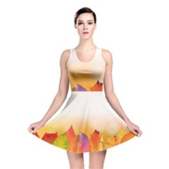 Autumn Leaves Colorful Fall Foliage Reversible Skater Dress by Nexatart