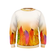 Autumn Leaves Colorful Fall Foliage Kids  Sweatshirt by Nexatart