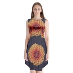 Art Beautiful Bloom Blossom Bright Sleeveless Chiffon Dress   by Nexatart