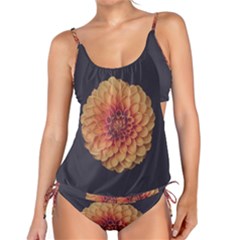 Art Beautiful Bloom Blossom Bright Tankini by Nexatart