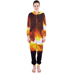 Fire Rays Mystical Burn Atmosphere Hooded Jumpsuit (ladies)  by Nexatart