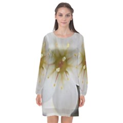 Summer Fun Long Sleeve Chiffon Shift Dress  by KAllan