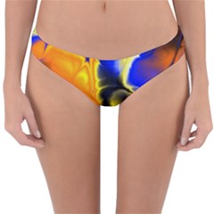 Fractal Art Pattern Cool Reversible Hipster Bikini Bottoms by Nexatart