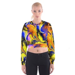 Fractal Art Pattern Cool Cropped Sweatshirt by Nexatart