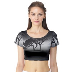 Sunset Short Sleeve Crop Top (tight Fit)