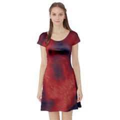 Blood Waterfall Short Sleeve Skater Dress