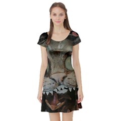 Cheshire Cat Short Sleeve Skater Dress by KAllan