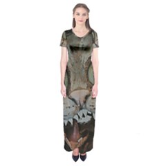 Cheshire Cat Short Sleeve Maxi Dress by KAllan