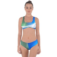 Light Means Net Pink Rainbow Waves Wave Chevron Green Blue Criss Cross Bikini Set by Mariart