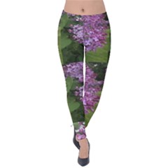 Purple Flowering Shrub Velvet Leggings by SusanFranzblau