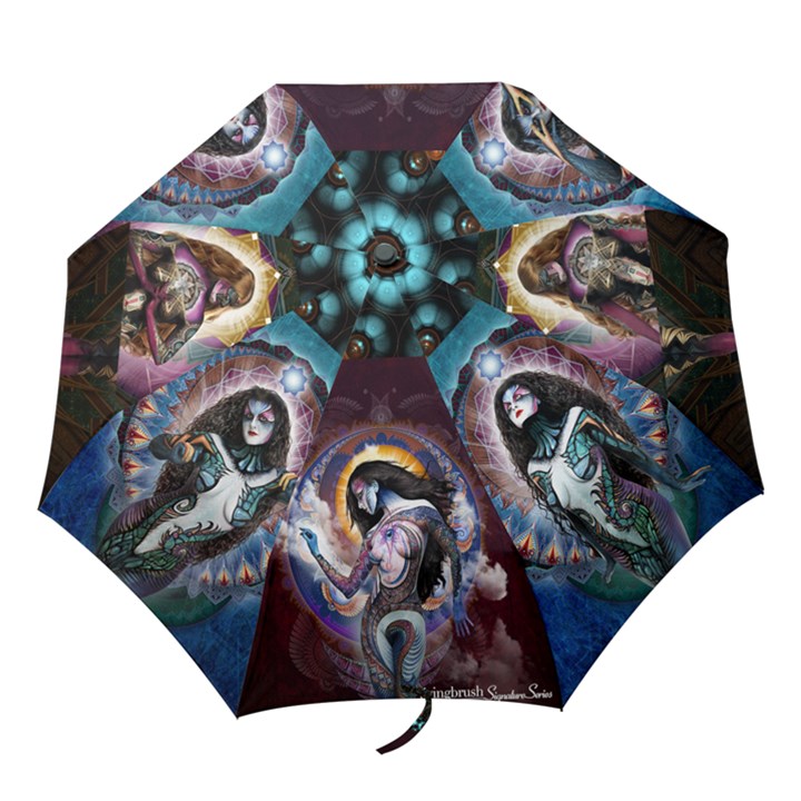  Stormy Women 3  - Folding Umbrella