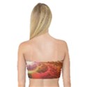 Liquid Sunset, A Beautiful Fractal Burst Of Fiery Colors Bandeau Top View2