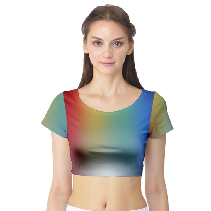 Rainbow Flag Simple Short Sleeve Crop Top (Tight Fit)