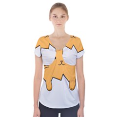 Yellow Cat Egg Short Sleeve Front Detail Top by Catifornia
