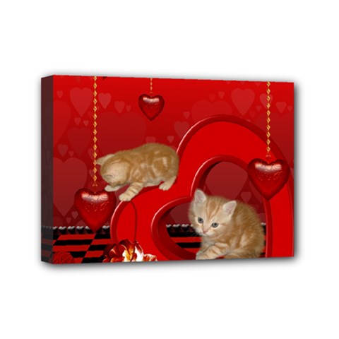 Cute, Playing Kitten With Hearts Mini Canvas 7  X 5  by FantasyWorld7