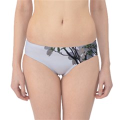 Morning Promise Hipster Bikini Bottoms by oddzodd