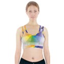 Colour Value Diagram Circle Round Sports Bra With Pocket View1