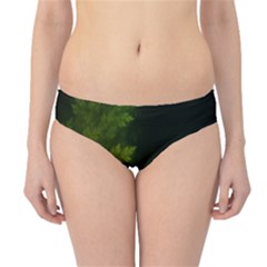 Beautiful Fractal Pines In The Misty Spring Night Hipster Bikini Bottoms by jayaprime