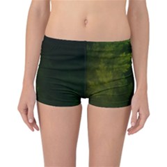 Beautiful Fractal Pines In The Misty Spring Night Reversible Boyleg Bikini Bottoms by jayaprime