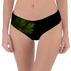 Beautiful Fractal Pines In The Misty Spring Night Reversible Classic Bikini Bottoms by jayaprime