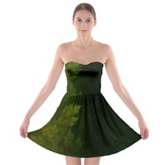 Beautiful Fractal Pines In The Misty Spring Night Strapless Bra Top Dress by jayaprime