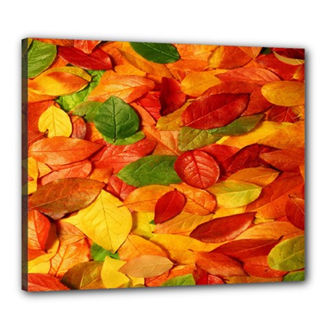 Leaves Texture Canvas 24  X 20  by BangZart