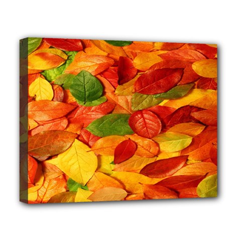 Leaves Texture Deluxe Canvas 20  X 16   by BangZart