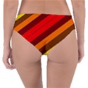 Abstract Bright Stripes Reversible Classic Bikini Bottoms View2