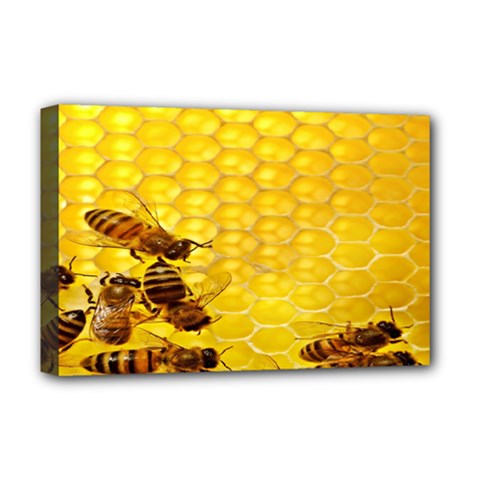Sweden Honey Deluxe Canvas 18  X 12  
