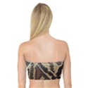 Snake Skin O Lay Bandeau Top View2