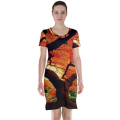 Maple Tree Nice Short Sleeve Nightdress