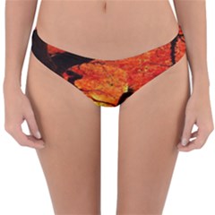 Maple Tree Nice Reversible Hipster Bikini Bottoms by BangZart