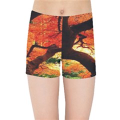 Maple Tree Nice Kids Sports Shorts