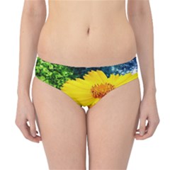 Yellow Flowers Hipster Bikini Bottoms