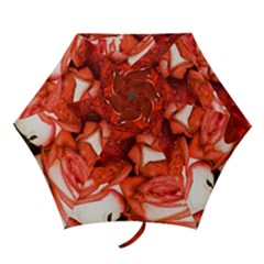 Nice Rose With Water Mini Folding Umbrellas by BangZart